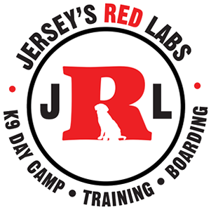 Jersey's Red Labs